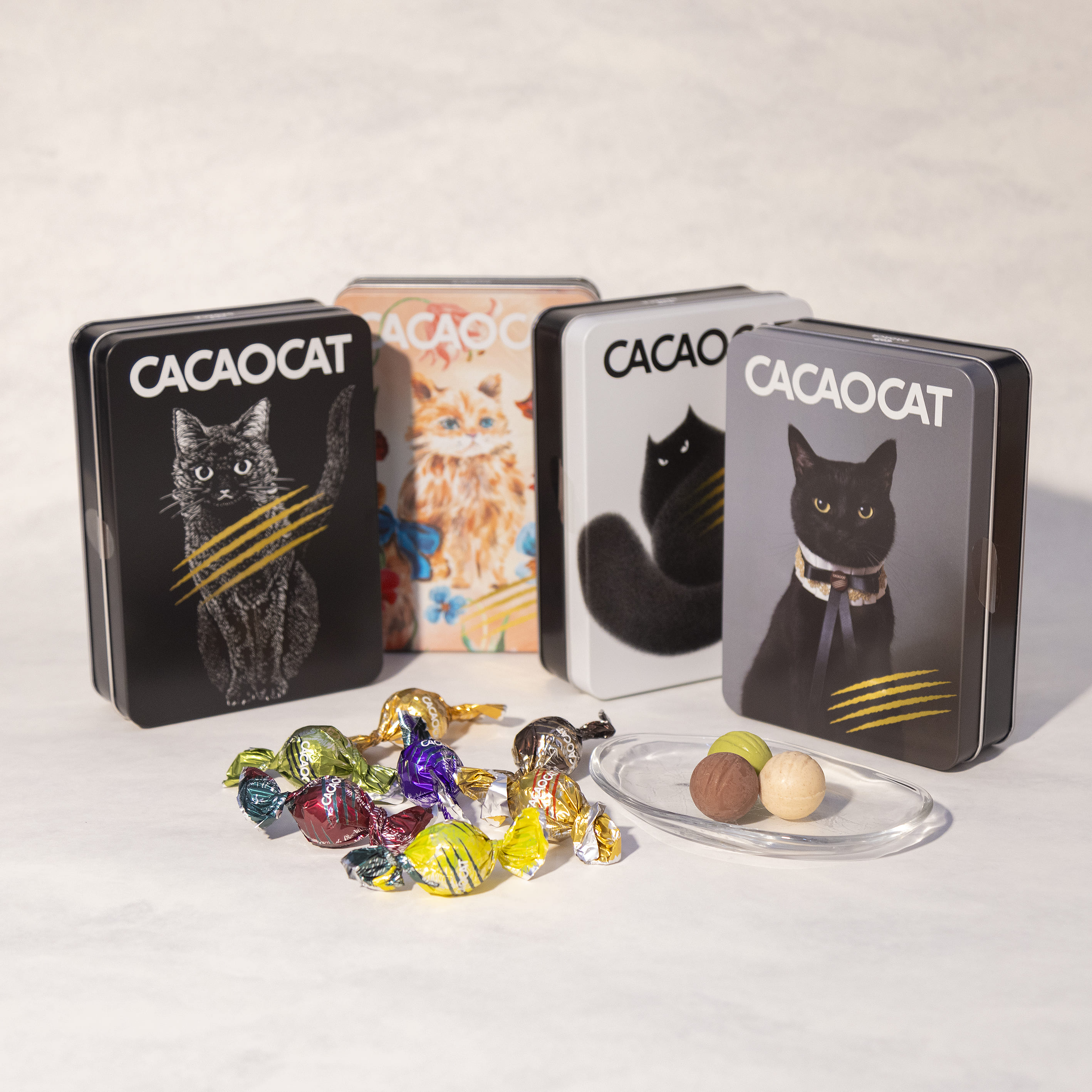 CACAOCAT 缶 ミックス 14 個入り | DADACA（ダダカ）の